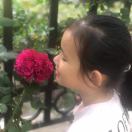张西文  Sam Zhang