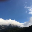 阜阳福江国柱