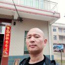 在路上
