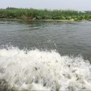 福田王海蛟