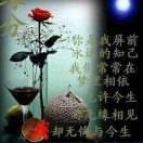 酒巷清风