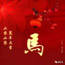 AAA龙游天下