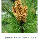 吴发国13830523000
