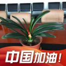 独奏曲