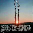 别来无恙