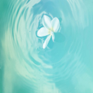 斗地主